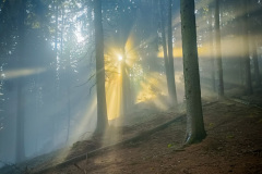 Pozegnanie-2025-IKSRUN-1